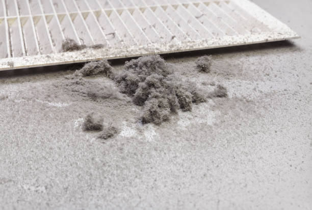 Best Affordable Air Duct Cleaning  in Tama, IA