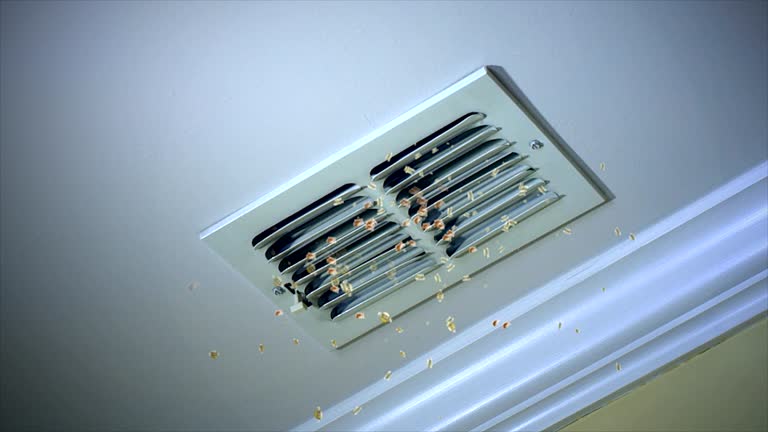Best Air Duct Cleaning Near Me  in Tama, IA