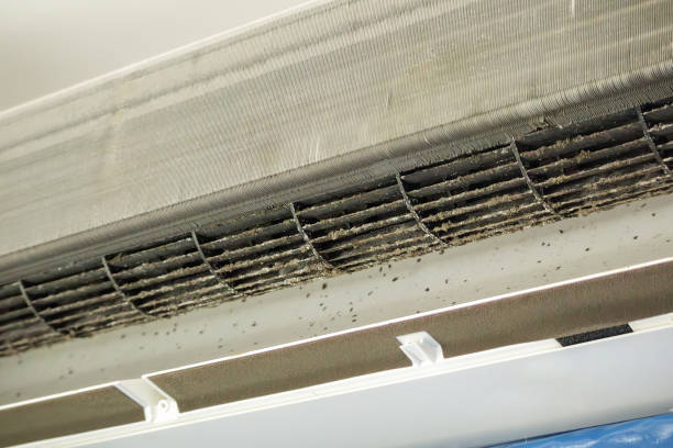 Best Air Duct Cleaning Near Me  in Tama, IA